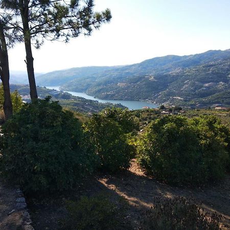 Paraiso Hills - Encostas Do Paraiso: Tranquilidade No Douro Резенде Екстер'єр фото