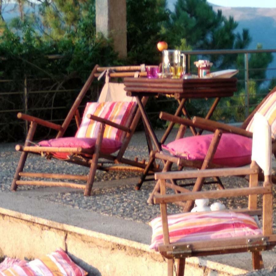 Paraiso Hills - Encostas Do Paraiso: Tranquilidade No Douro Резенде Екстер'єр фото