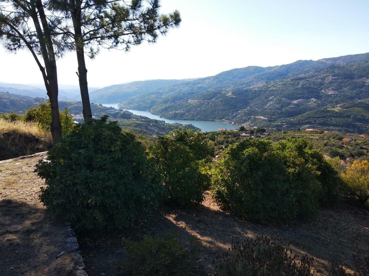 Paraiso Hills - Encostas Do Paraiso: Tranquilidade No Douro Резенде Екстер'єр фото